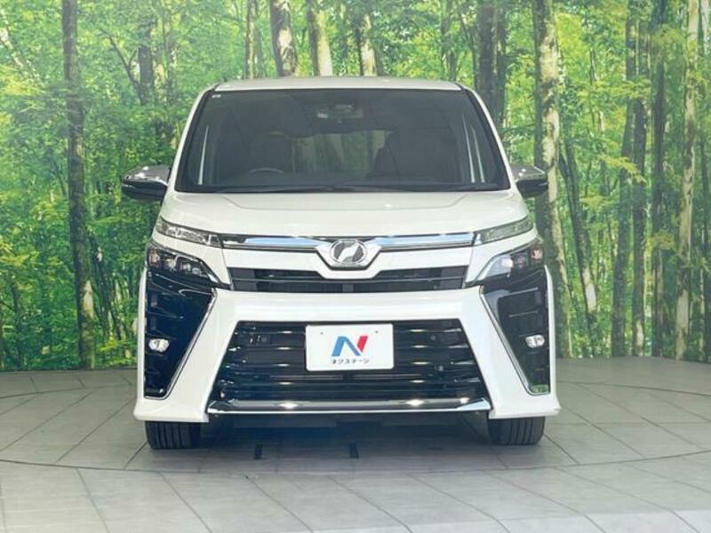 VOXY-14