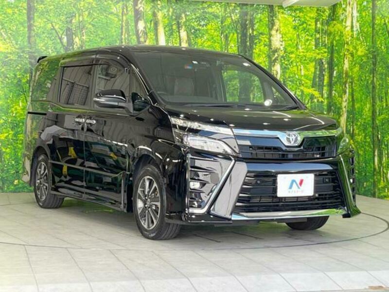 VOXY-17