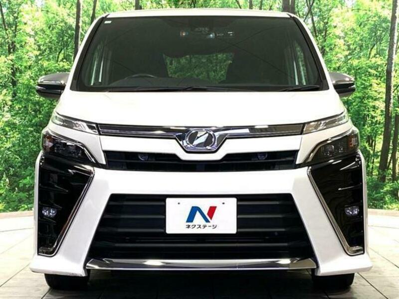 VOXY-14