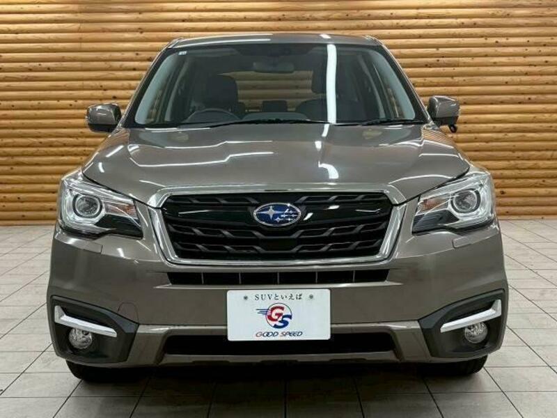 FORESTER-16