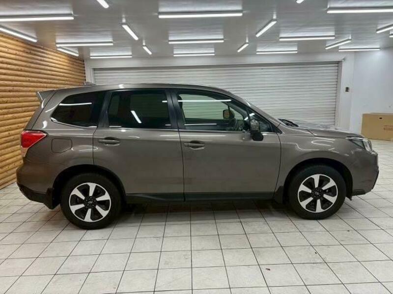 FORESTER-17