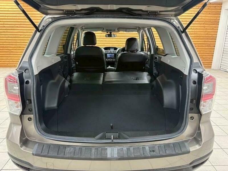 FORESTER-19