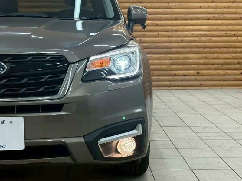 FORESTER-9