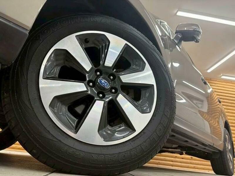 FORESTER-10