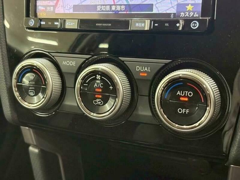 FORESTER-11