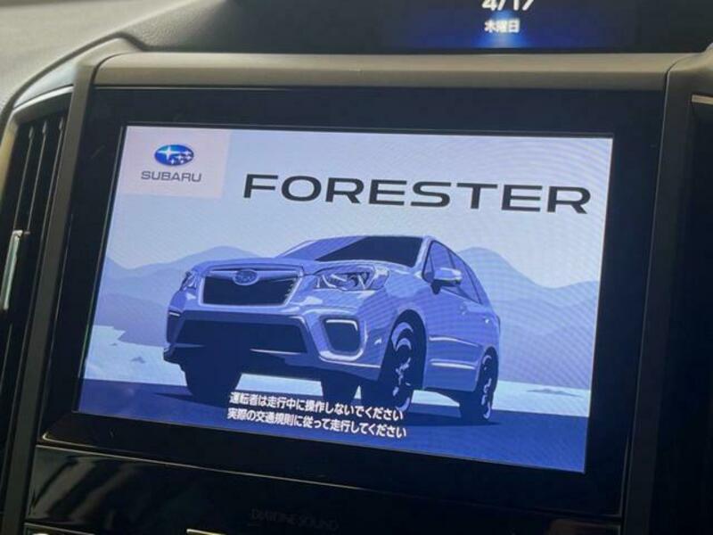FORESTER