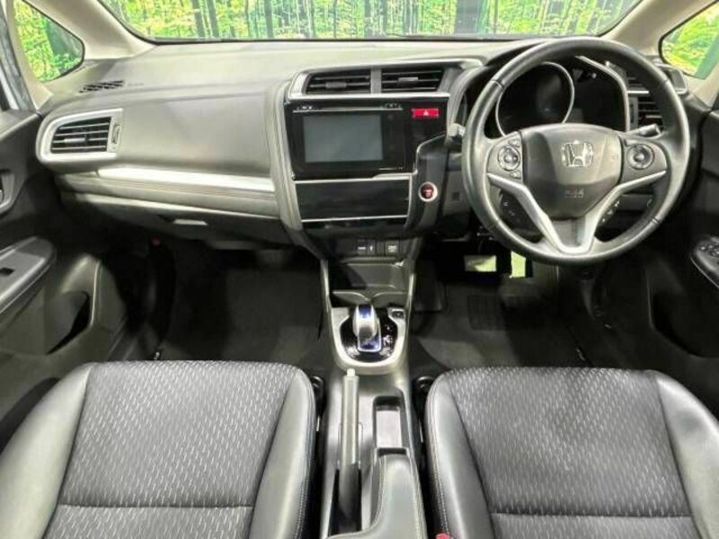 FIT HYBRID-1