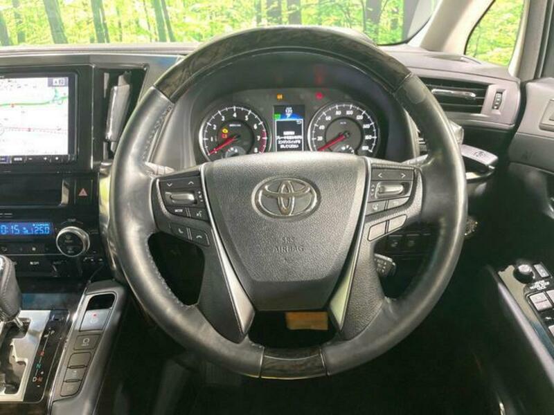 ALPHARD-10