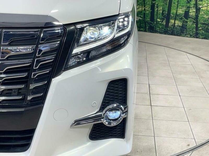ALPHARD-11