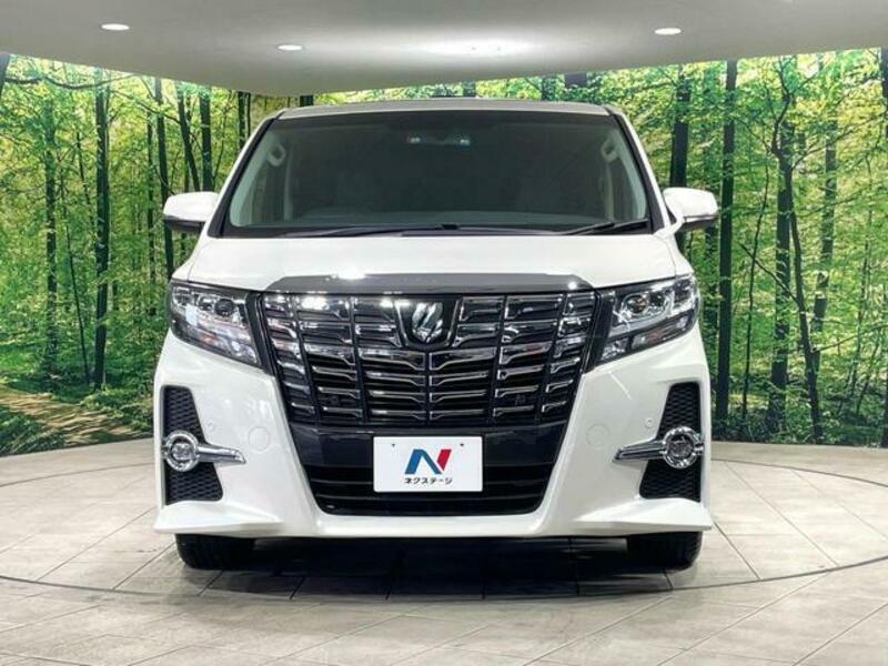 ALPHARD-13