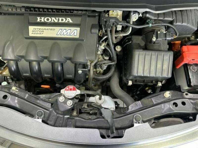FREED HYBRID-18