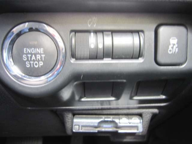 FORESTER-17