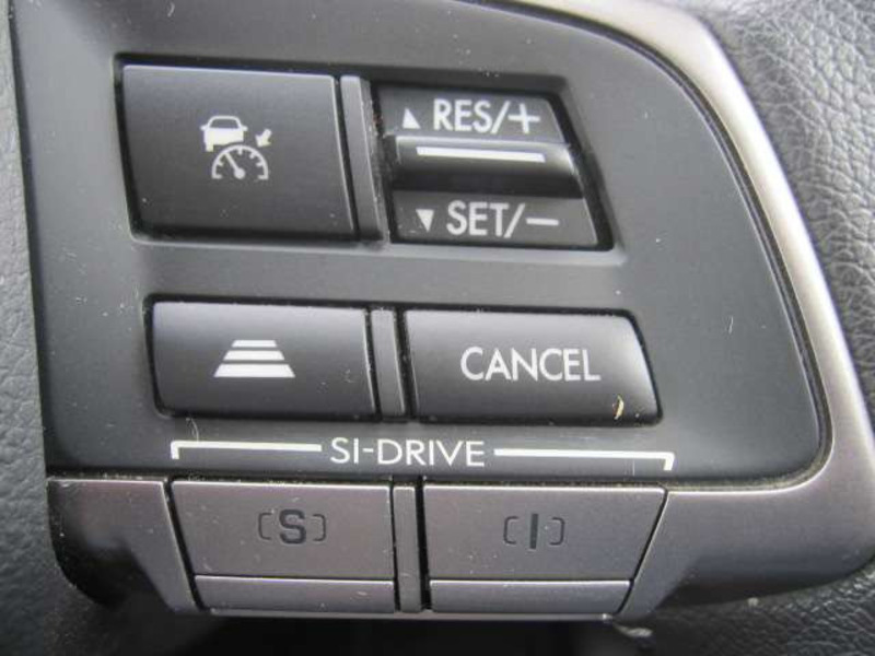 FORESTER-11