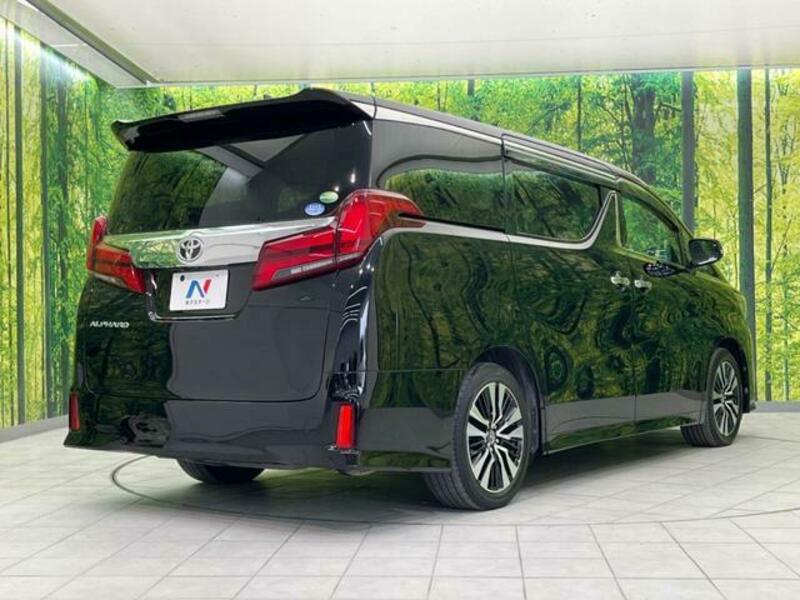 ALPHARD-17