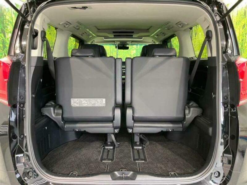 ALPHARD-10