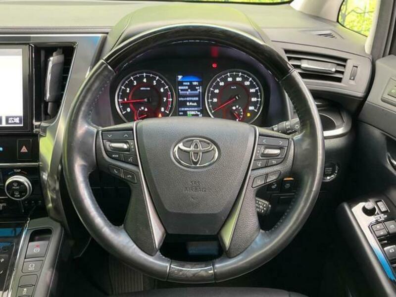 ALPHARD-11