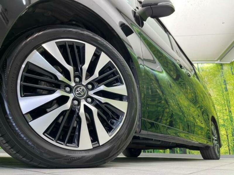 ALPHARD-12