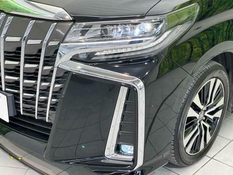 ALPHARD-13