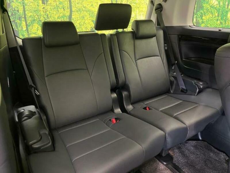 ALPHARD-8