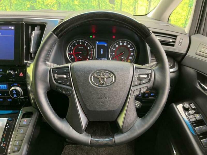 ALPHARD-10