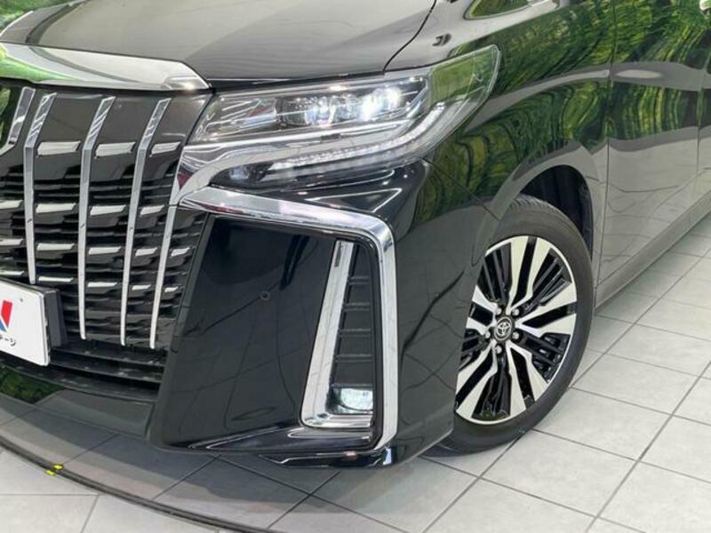 ALPHARD-11