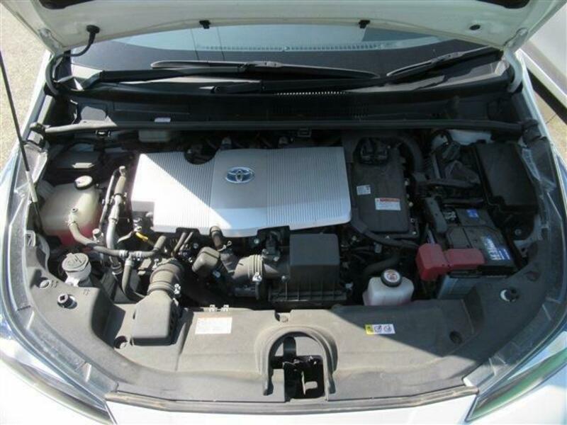 PRIUS-19