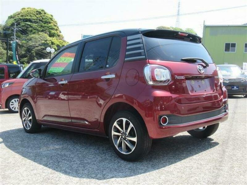 PASSO-17
