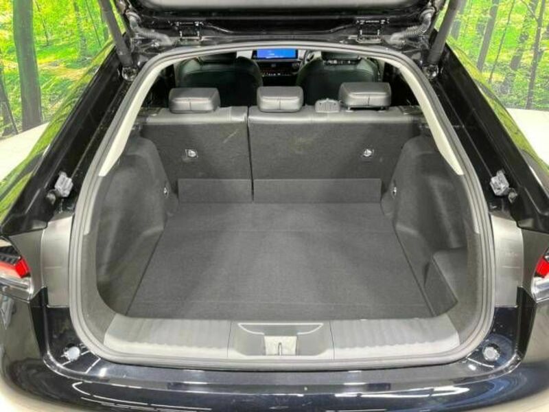 PRIUS-10
