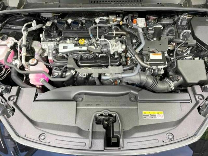 PRIUS-18