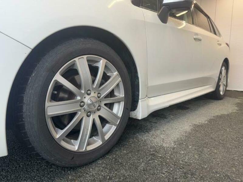 LEVORG