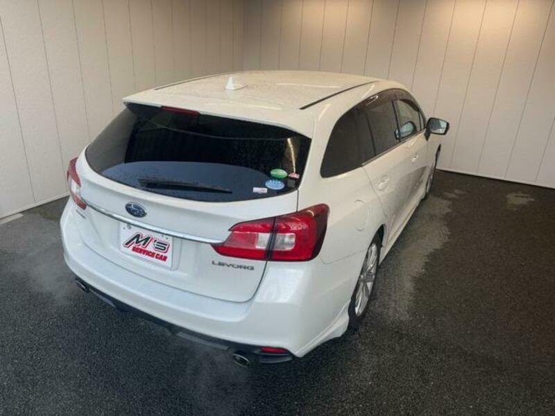 LEVORG