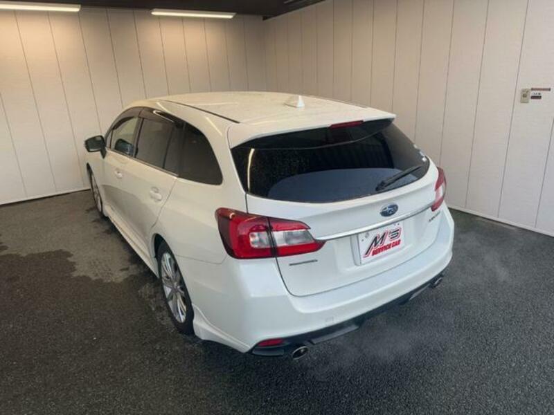 LEVORG