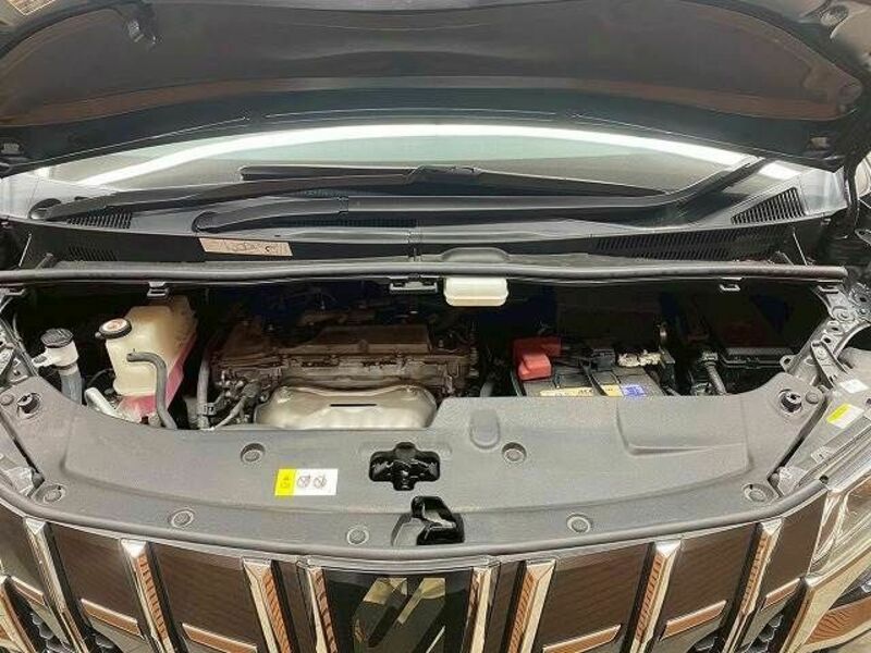 ALPHARD-13