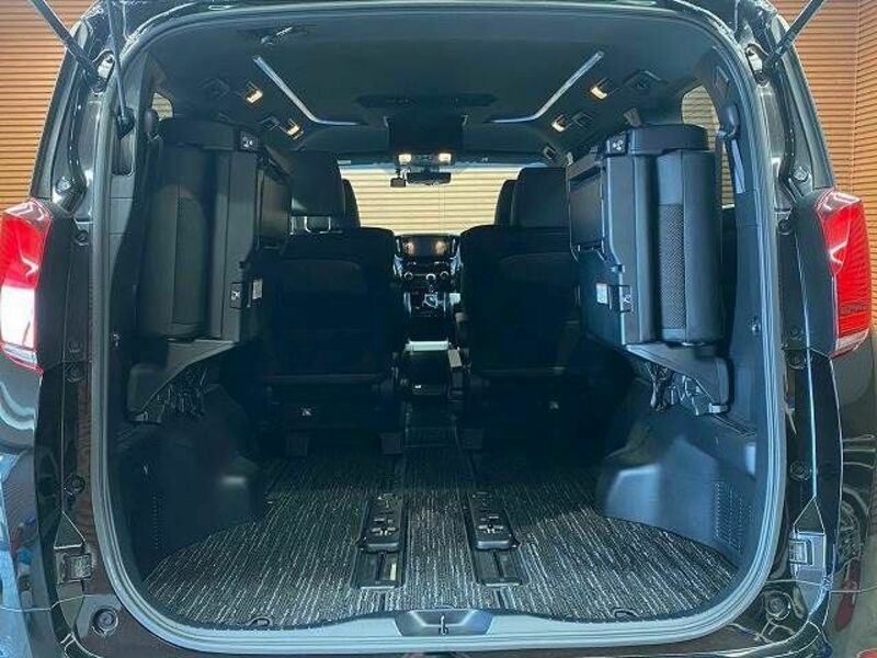 ALPHARD-19