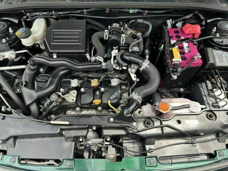 COPEN-29