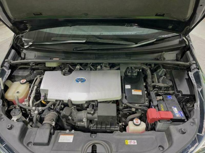 PRIUS-17