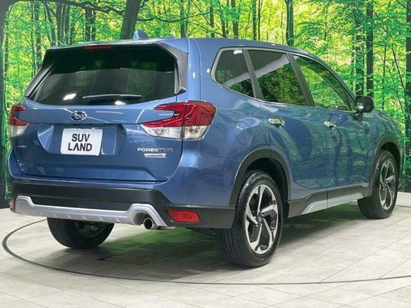 FORESTER-16