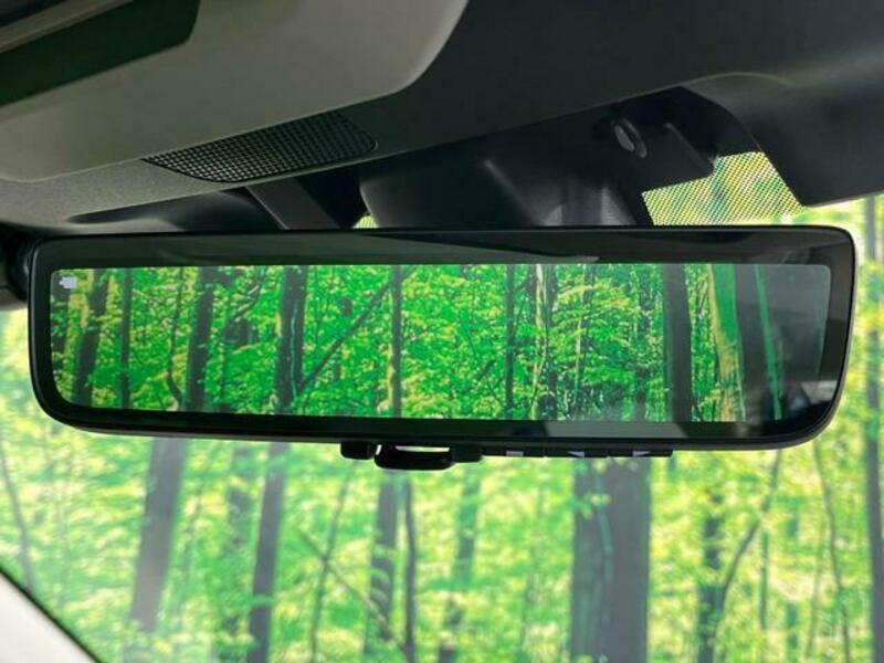 FORESTER-5