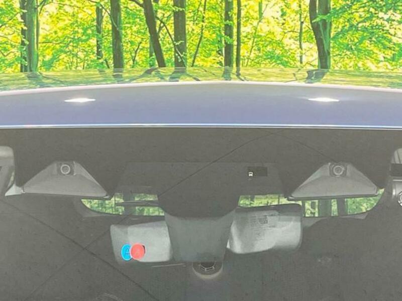FORESTER-6