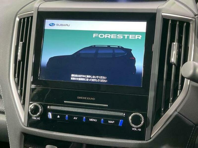FORESTER-2