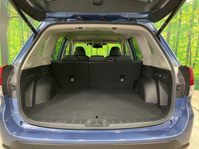 FORESTER-9