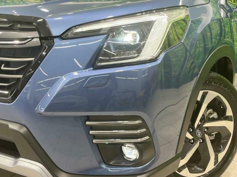 FORESTER-11