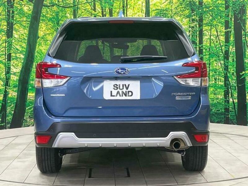 FORESTER-14