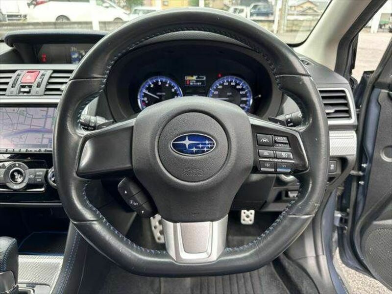 LEVORG