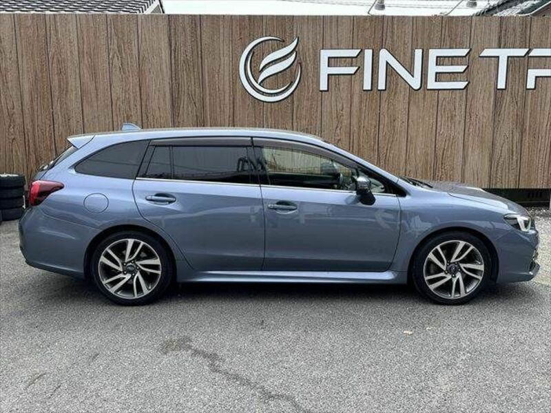 LEVORG