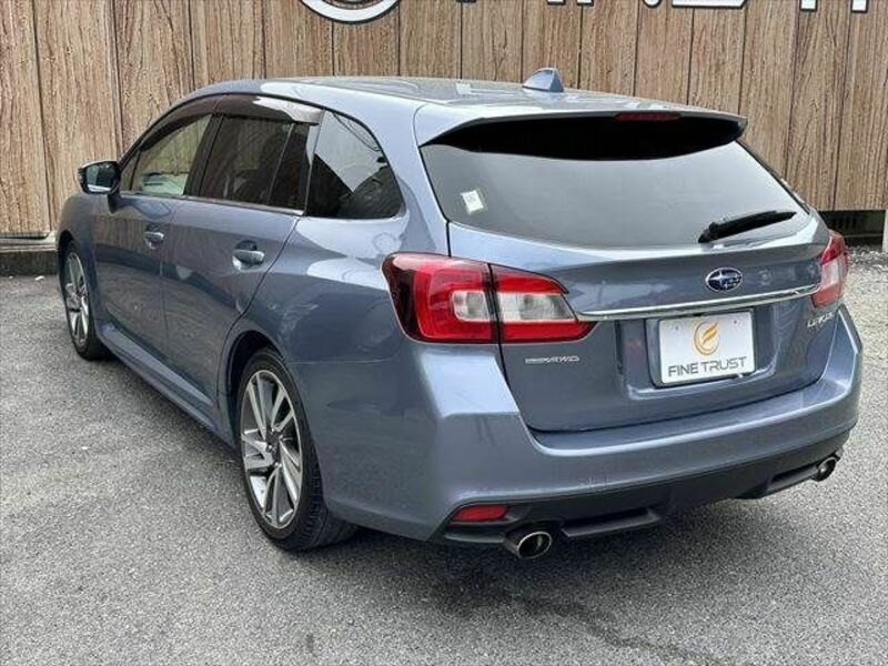LEVORG