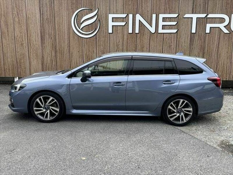LEVORG