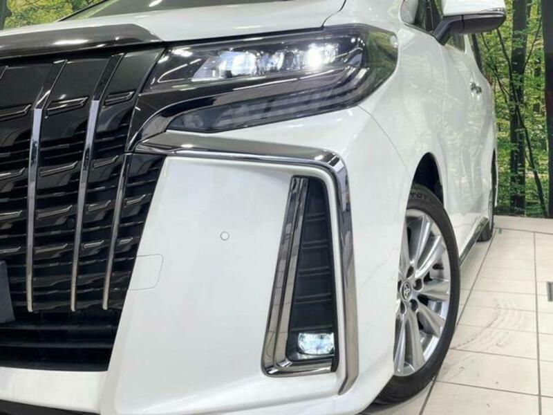 ALPHARD-12