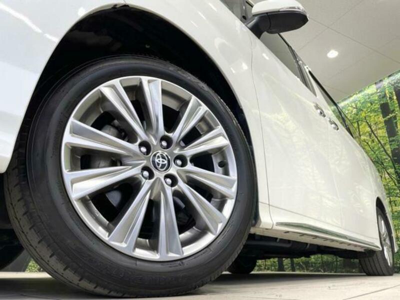 ALPHARD-13