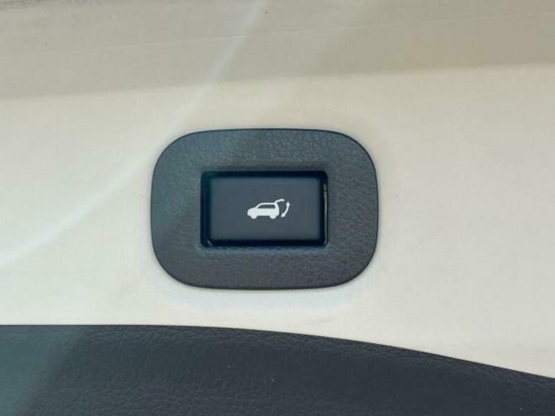 X-TRAIL-19